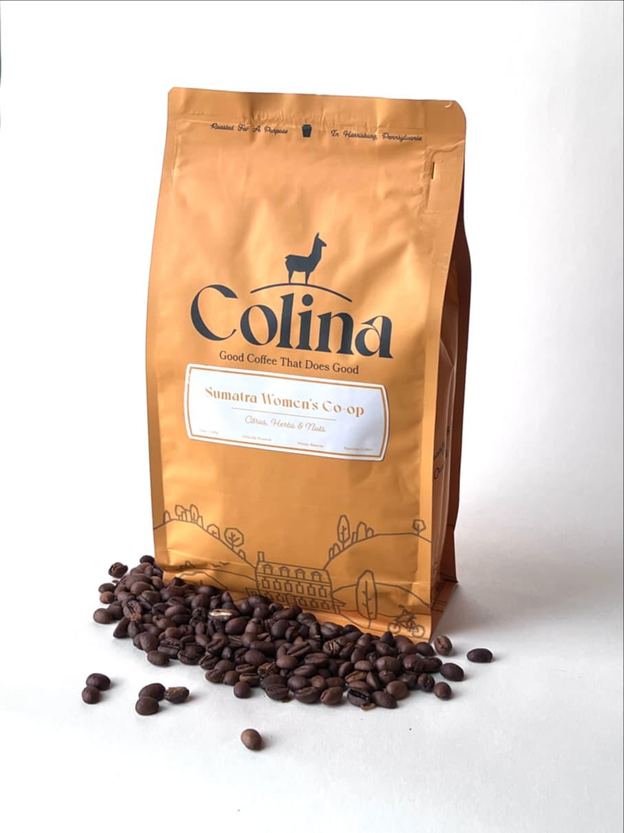 Indonesian Sumatra